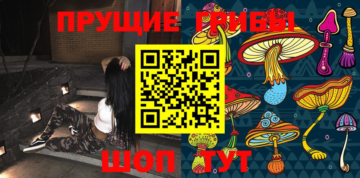 Галлюциногенные грибы прущие грибы Городец